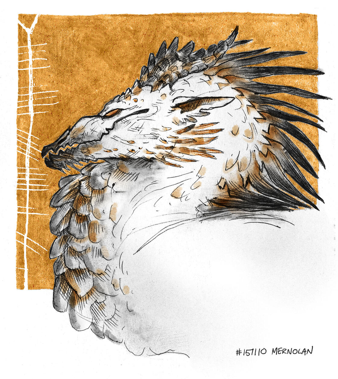 2015 Eiriogh 2015 Eiriogh