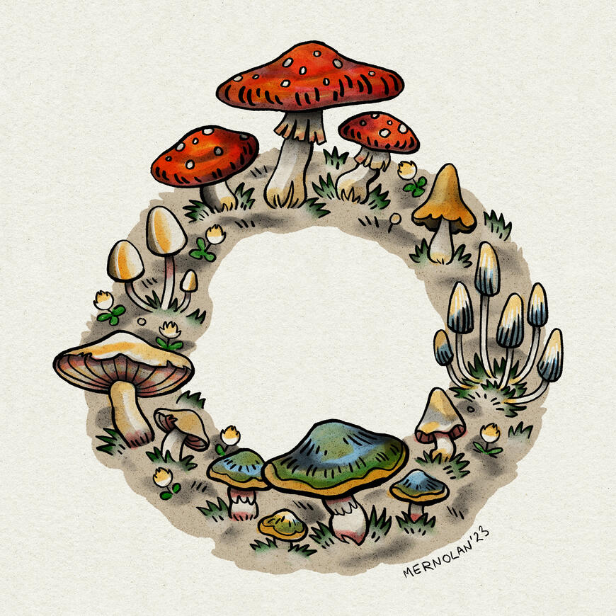 2023 fairy ring 2023 fairy ring