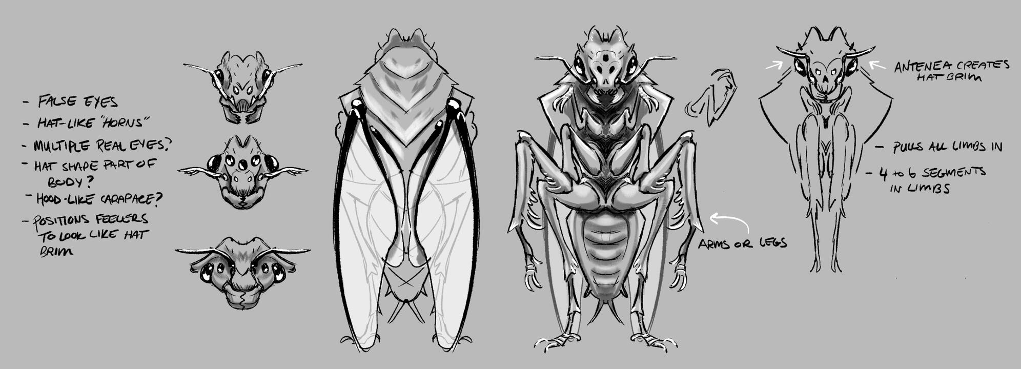 bug bug